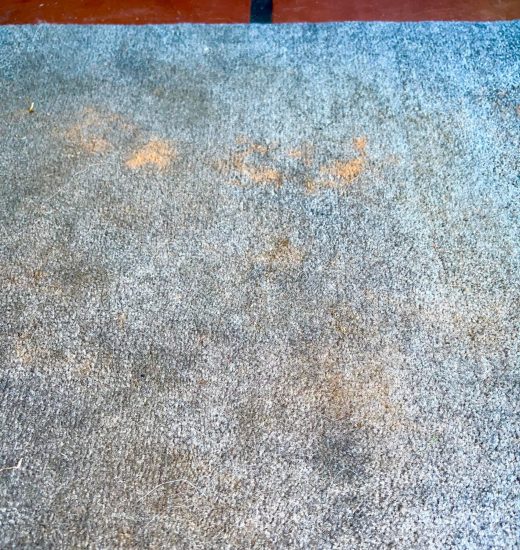 Ægte tæppe rensning - Beskidt