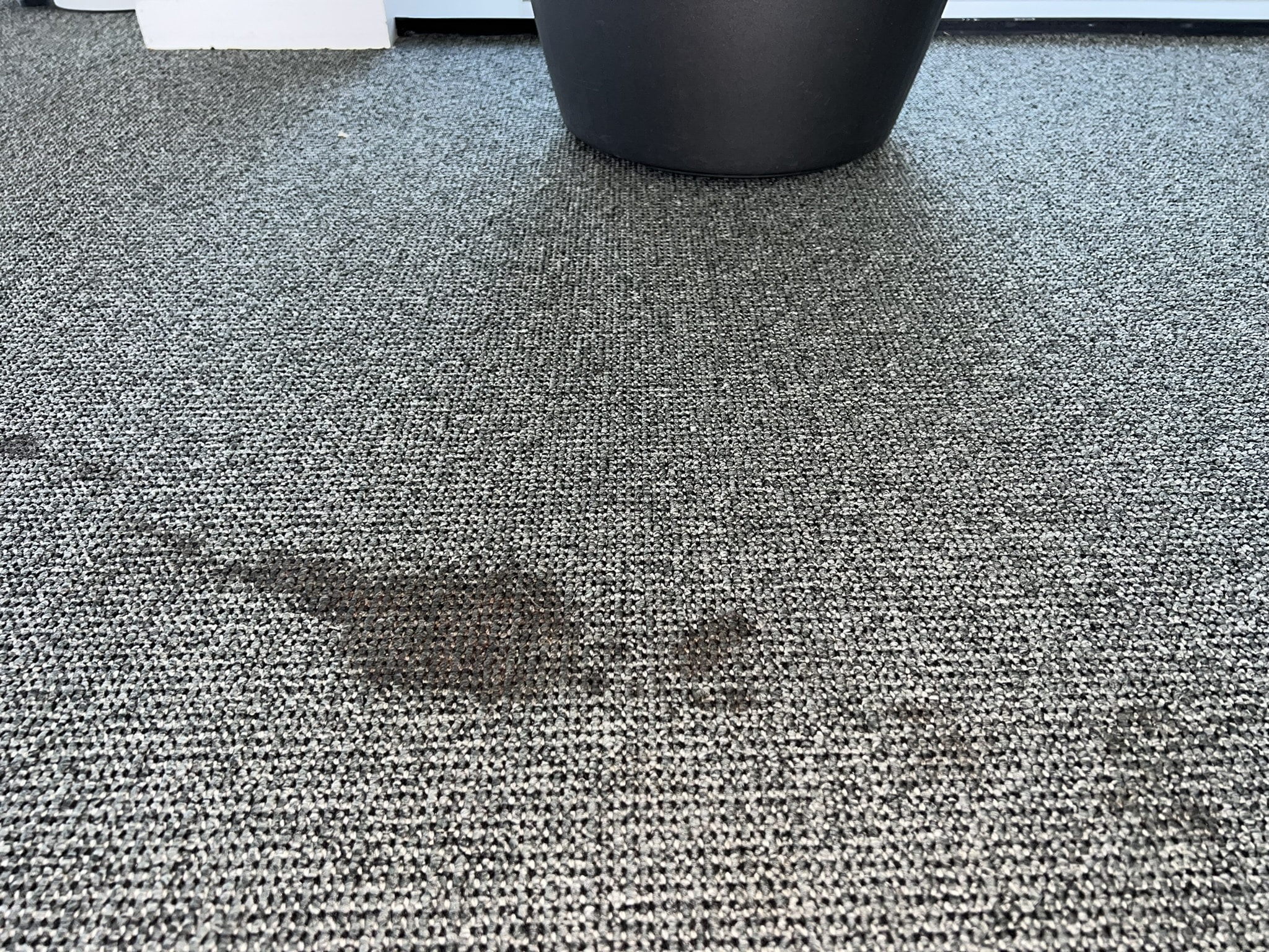 Stor kaffeplet på kontortæppe